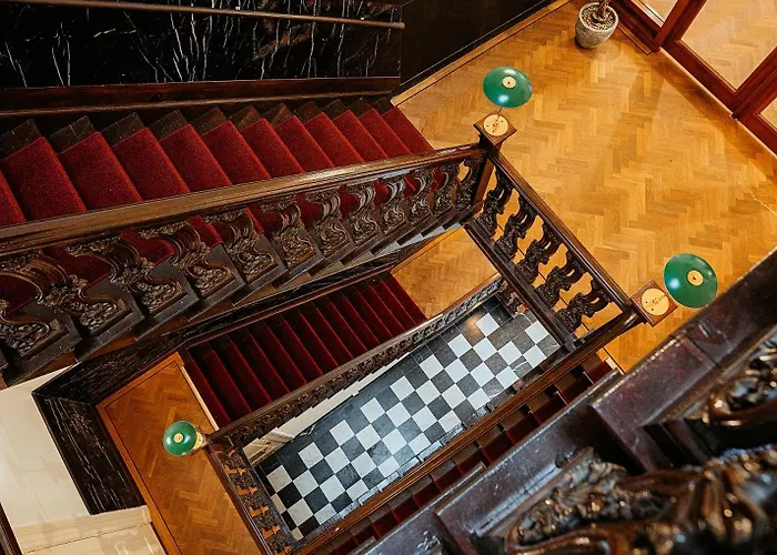 The Velvet Гаага