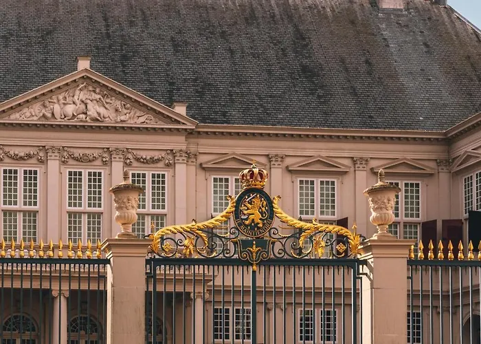 The Velvet Гаага